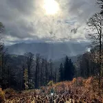 Le Spitzacker Familial Au Calme Casa de Férias Husseren-Wesserling
