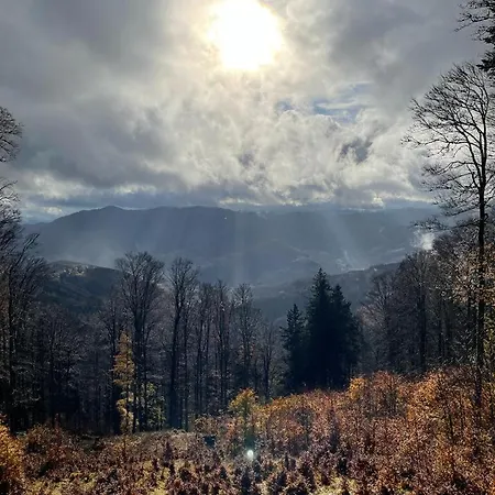 Le Spitzacker Familial Au Calme Nyaraló Husseren-Wesserling