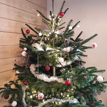 Le Spitzacker Familial Au Calme Nyaraló *